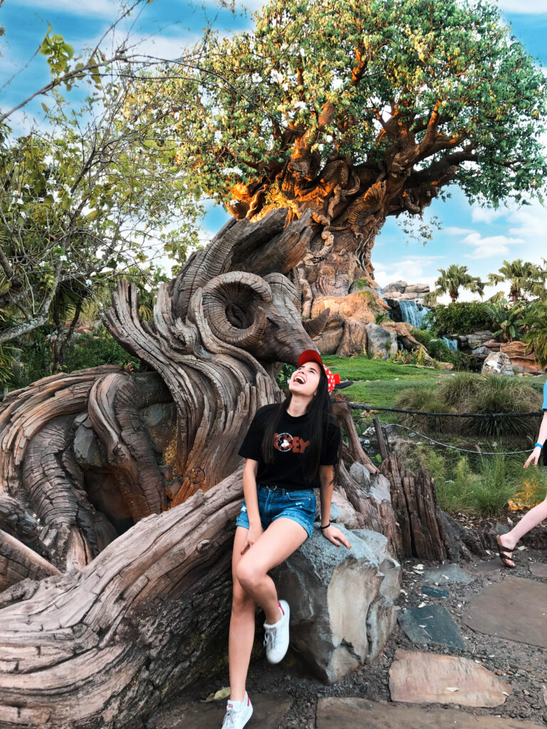 Animal Kingdom